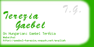 terezia gaebel business card